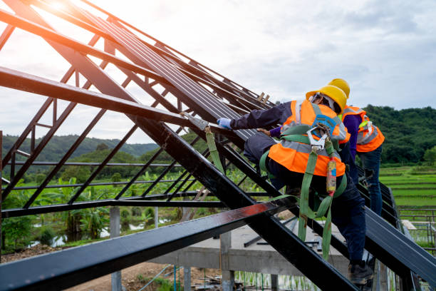 Best Storm Damage Roof Repair  in Edcouch, TX